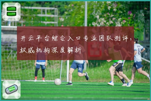 开云平台综合入口专业团队测评，权威机构深度解析