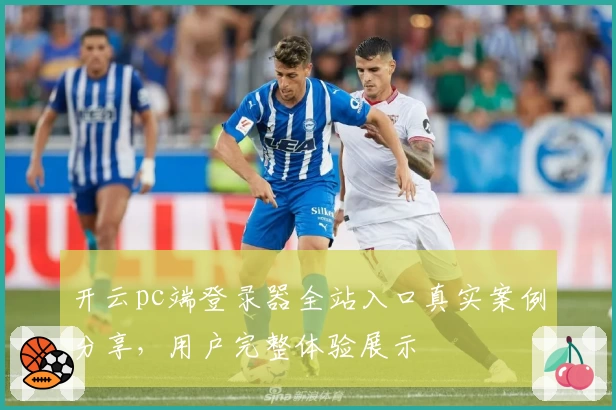 开云pc端登录器全站入口真实案例分享，用户完整体验展示