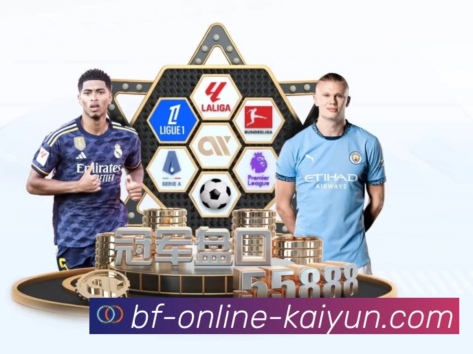 体育平台欢迎图